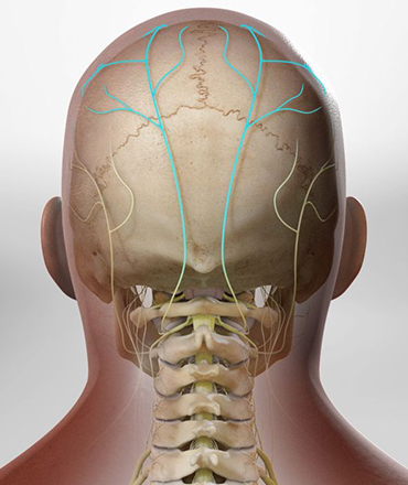 Occipital Nerve Blocks Services in Plano, TX    
